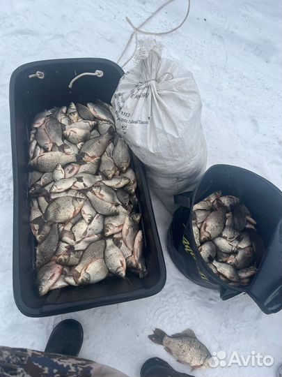 Рыболовная база дом рыбака