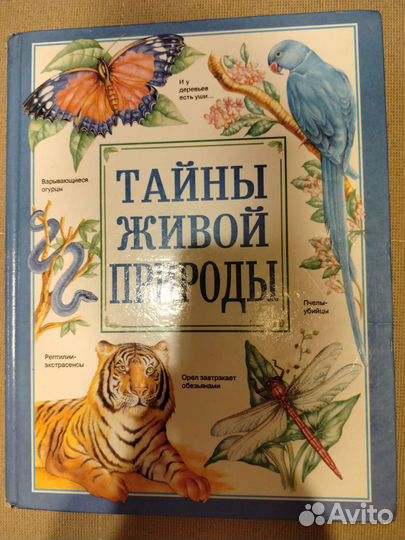 Детские книги (несколько музыкальных)