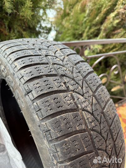 Tigar Winter 1 185/60 R15