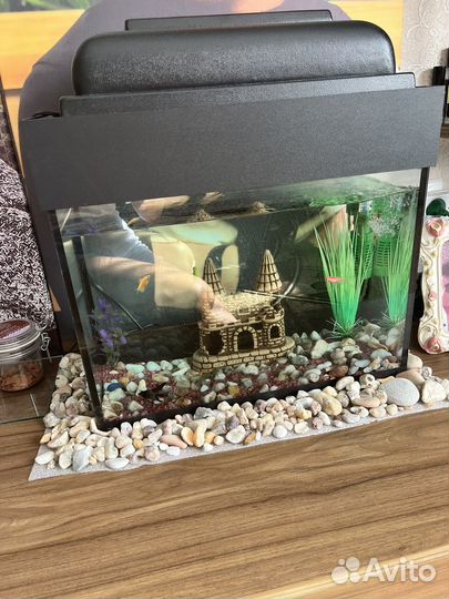 Аквариум