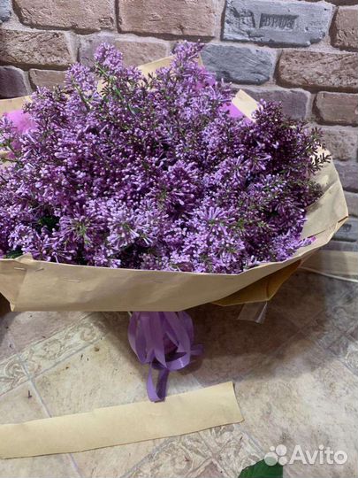 Букет из сирени