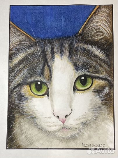 Картина акварель. Кот
