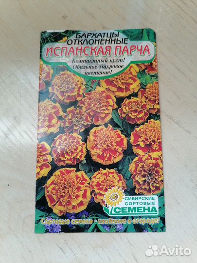 Цветы петунии бархатцы рассада
