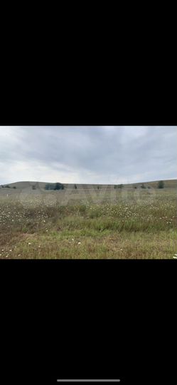 Участок 6,5 сот. (СНТ, ДНП)