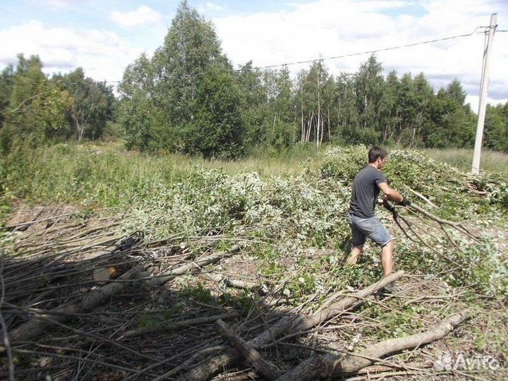 Уборка участка, уборка территории
