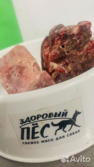 Готовый рацион для кошек