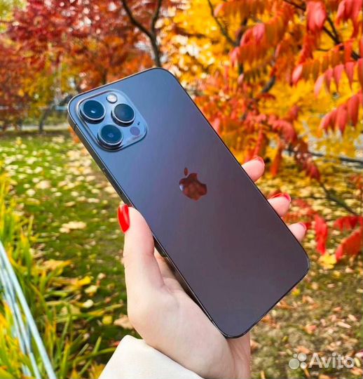 iPhone 12 Pro Max, 256 ГБ