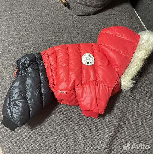 Одежда для собак