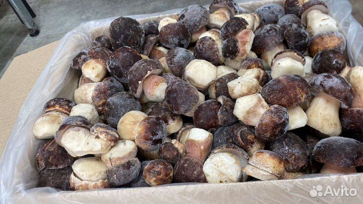 Свежезамороженный Белый гриб (цельный) 1 сорт