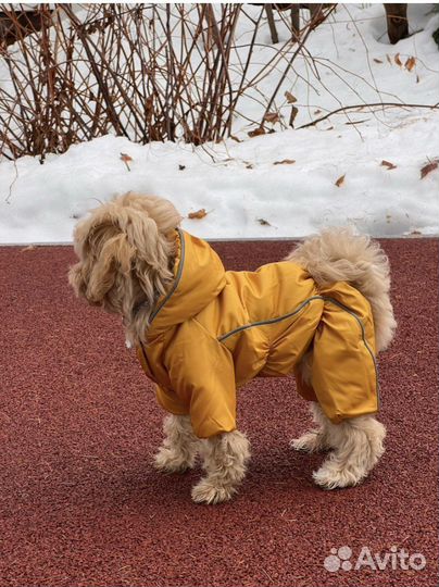 Зимний костюм для собак