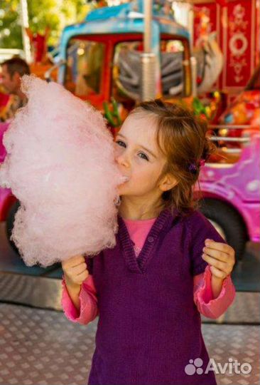 Аниматоры на день рождения ведущая праздников