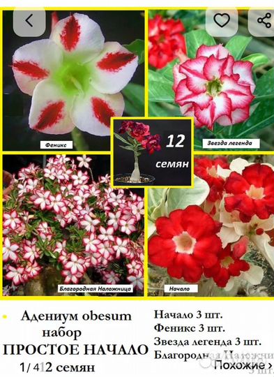 Адениум семена