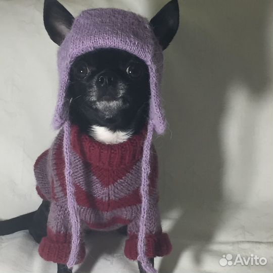 Шапочка ушанка для маленькой собачки