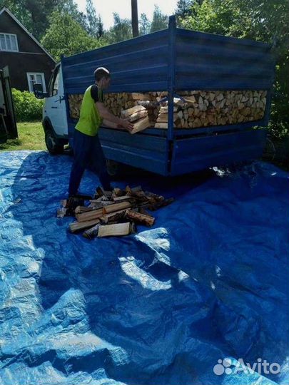 Дрова березовые от производителя