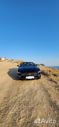 Аренда кабриолета Ford mustang с водителем