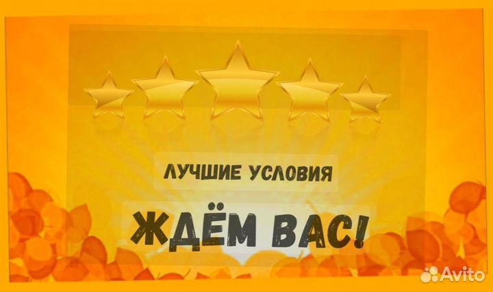 Сборщик заказов Выплаты еженедельно Без опыта М/Ж