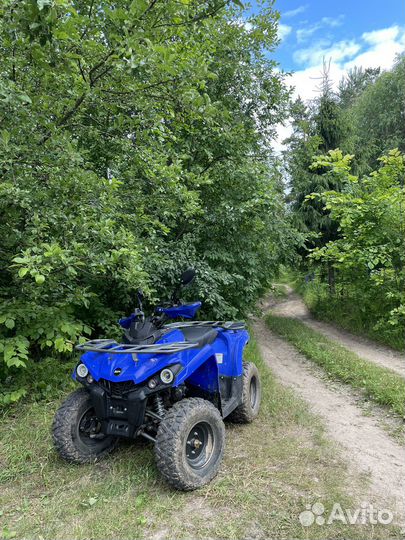 Прокат квадроциклов