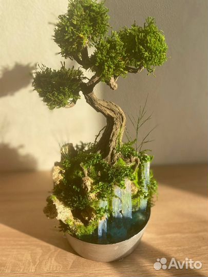 Флорариум. Бонсай и моссариум