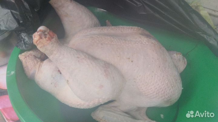 Индюки тушки