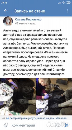 Ветеринар с выездом на дом