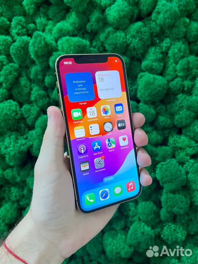 iPhone 12 Pro, 128 ГБ