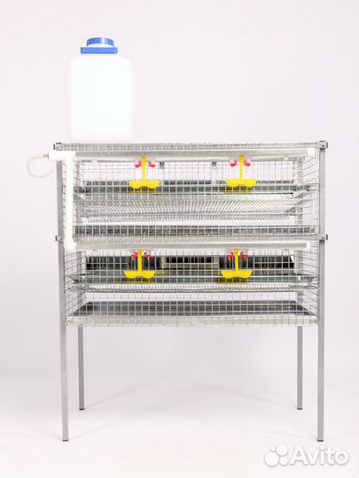 Клетки для перепелов