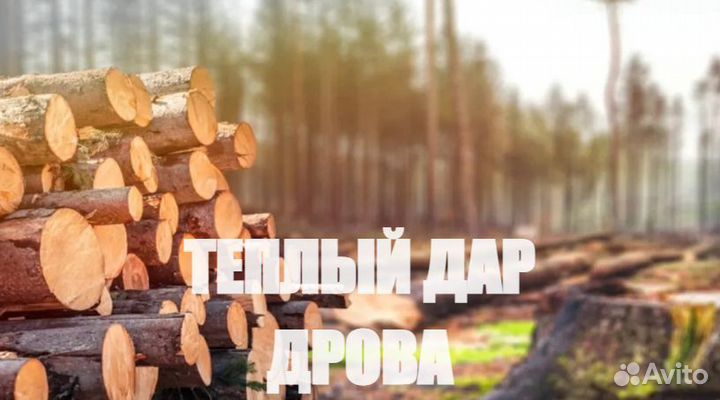 Дрова сухие доставка