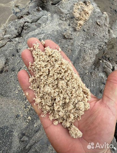 Песко соль галит