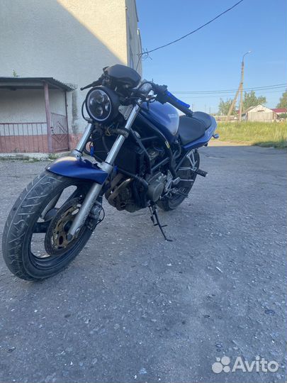 Suzuki bandit 250