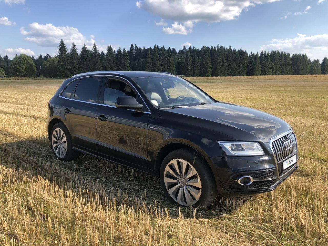 Audi Q5: фото владельца