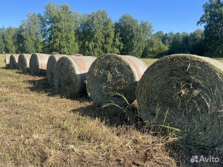 Сено в рулонах 2023