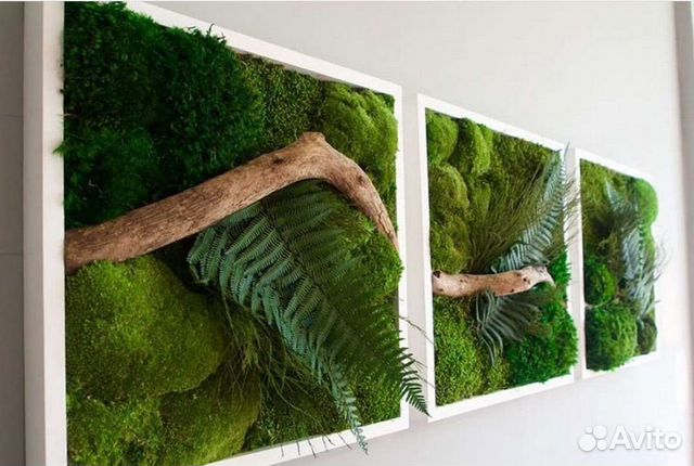 Фитокартина фитостена панно из мха