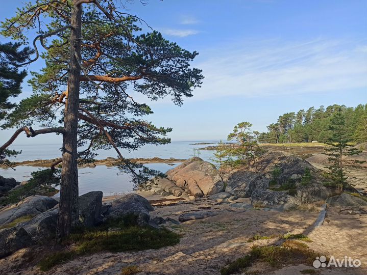 Кий остров г. Онега