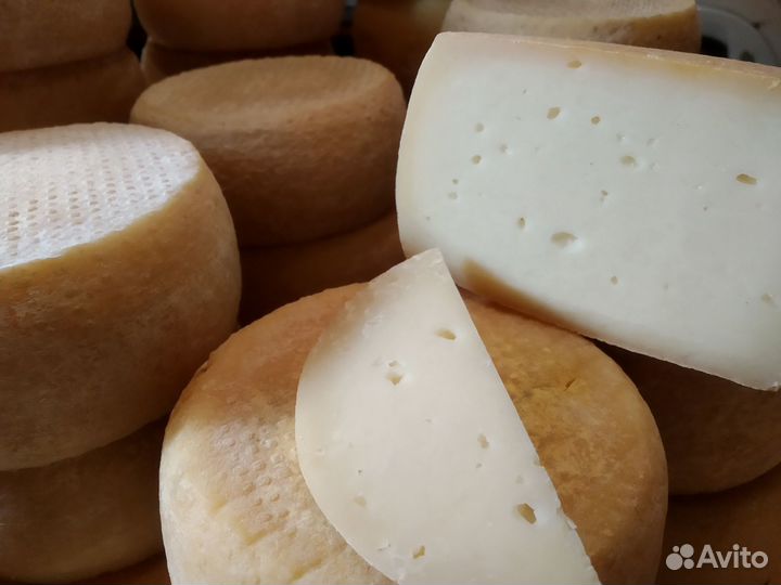 Сыр домашний козий