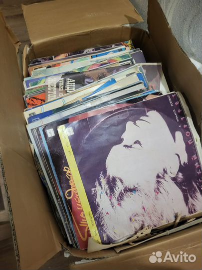 Виниловые пластинки