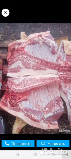 Мясо свинины