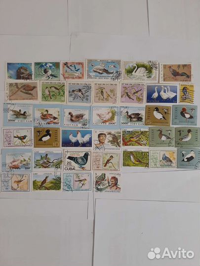 Марки иностранные птицы