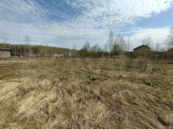 Участок 15,5 сот. (ИЖС)