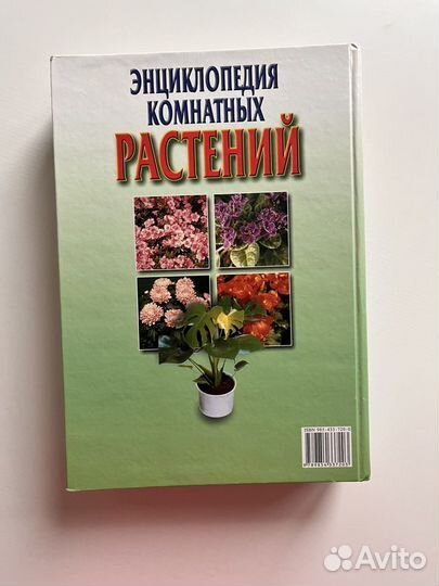 Энциклопедия комнатных растений