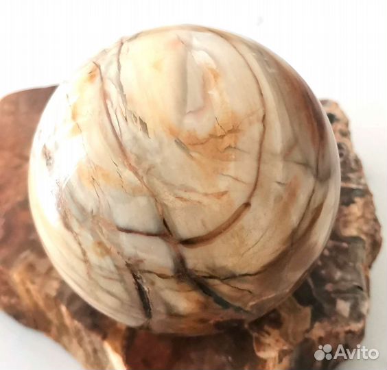 Шар из природного камня. Окаменелое дерево