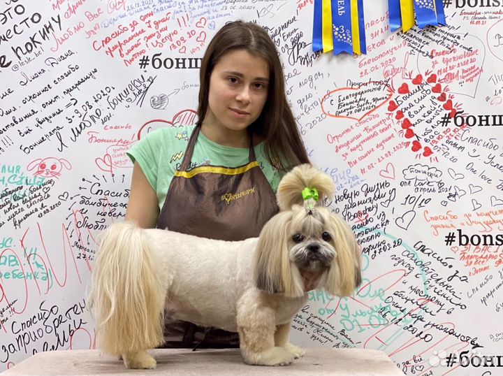 Груминг собак