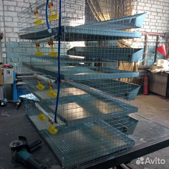 Клетка для перепелов