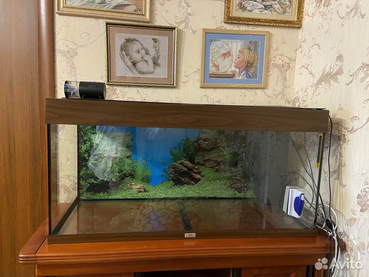 Аквариум