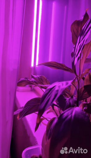 Фитосветильник для растений