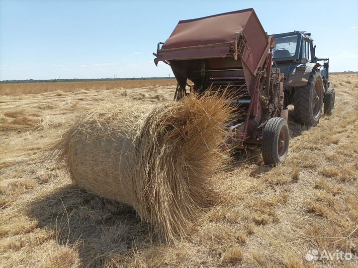 Продам сено в рулонах