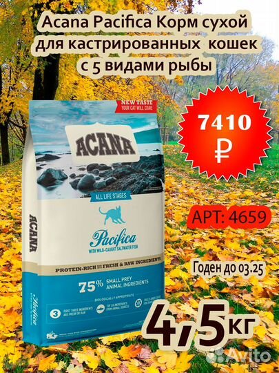 Acana для собак и кошек сухой корм