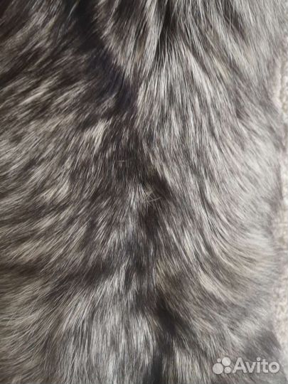 Шкурка лисы чернобурой