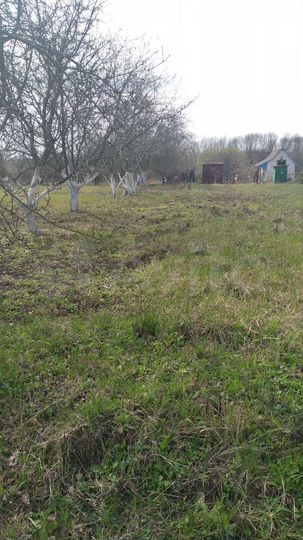 Участок 10 сот. (СНТ, ДНП)