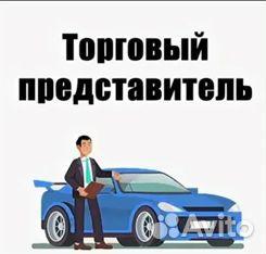Торговый представитель на авто