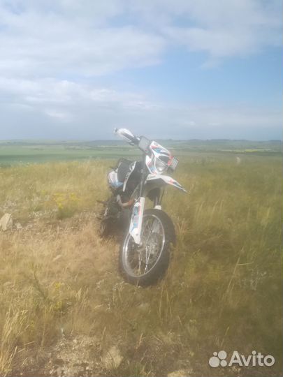 Рейсер пантера 250 торг